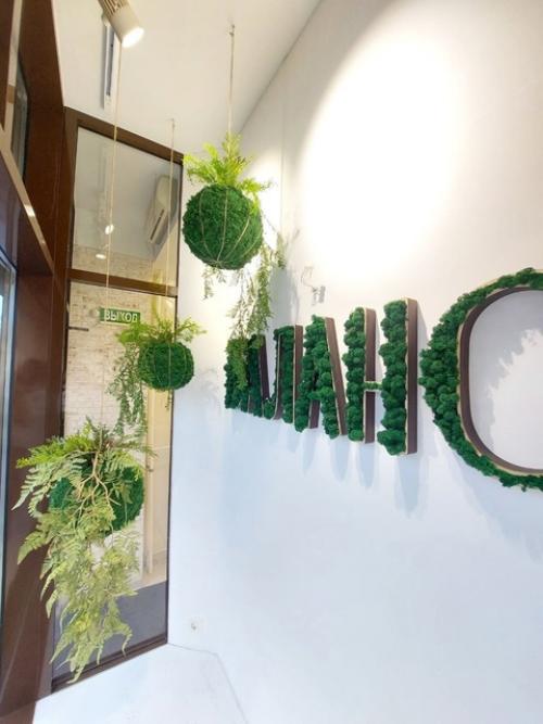 Озеленение интерьера искусственной зеленью и стабилизированными мхами. 05 Озеленение интерьера искусственной зеленью и стабилизированными мхами. 05
