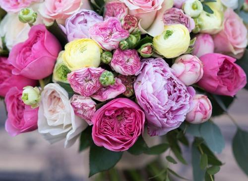 Тайная сила пиона по фэн-шуй. 02 Тайная сила пиона по фэн-шуй. 02