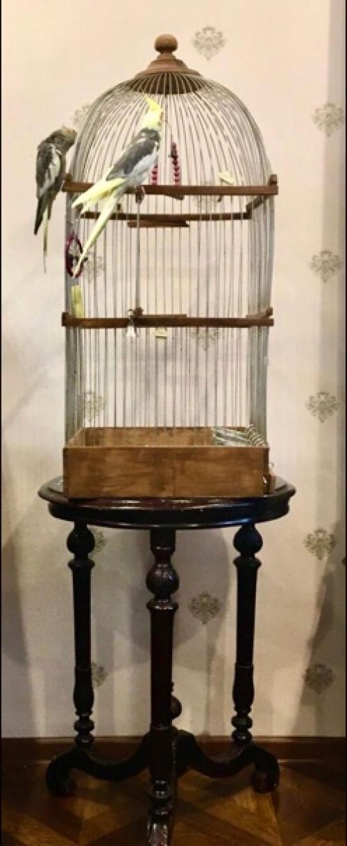 От нашей подписчицы: 09