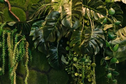 Озеленение интерьера искусственной зеленью и стабилизированными мхами. 03 Озеленение интерьера искусственной зеленью и стабилизированными мхами. 03