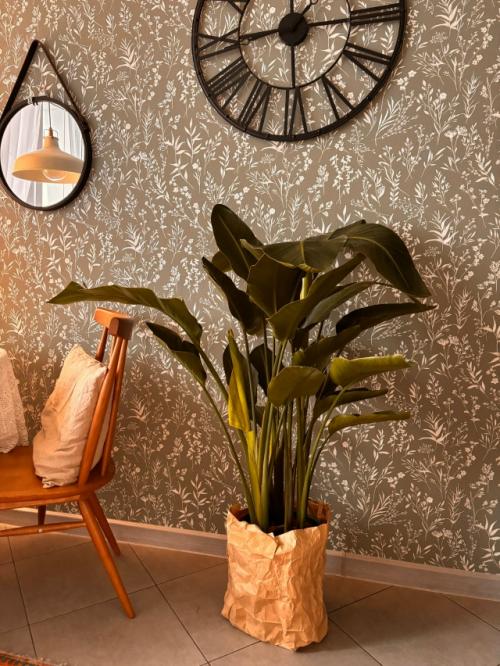 Скандинавы безумно любят природу.  