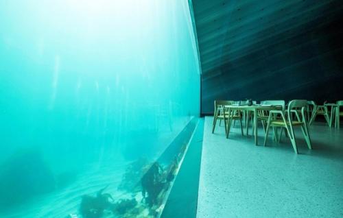 Уникальный ресторан Under в Норвегии, который обязательно стоит посетить. 05