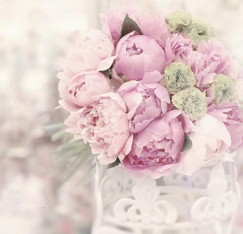 Тайная сила пиона по фэн-шуй. 03 Тайная сила пиона по фэн-шуй. 03