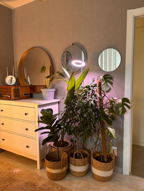 Скандинавы безумно любят природу. 03