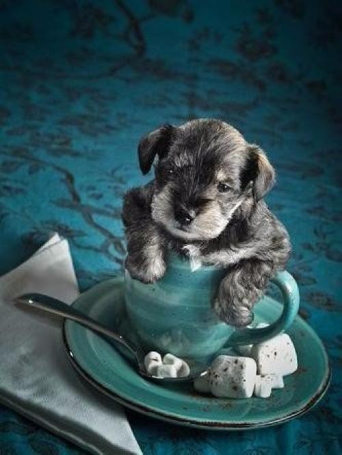 Совершенно необязательно делать великие вещи. 03