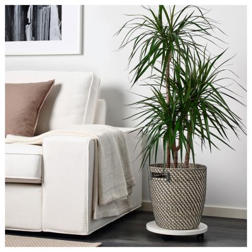 Интерьерный_лайфхак большой горшечный цветок в углу. 01