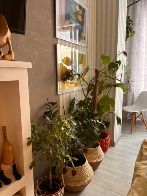 Скандинавы безумно любят природу. 07