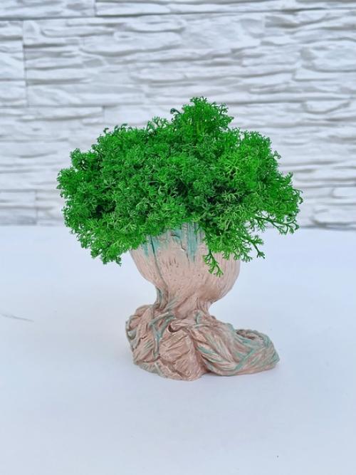 Современный ритм жизни не всегда позволяет нам наслаждаться природной красотой и пользой. 02