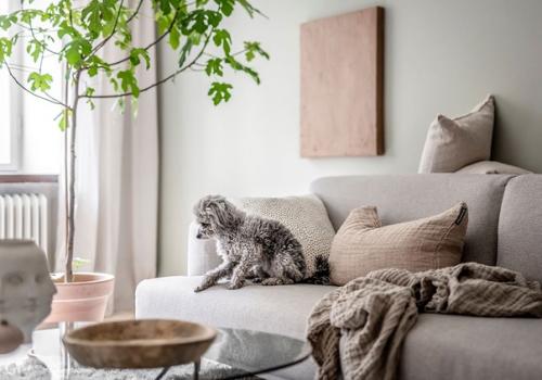 Скандинавский дизайн в нежных тонах в старой квартире 60 м 2. 01