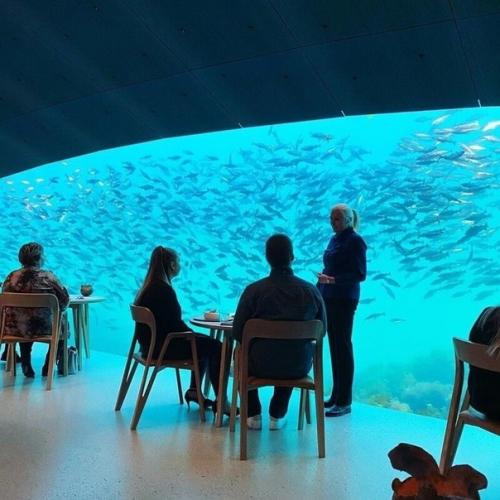 Уникальный ресторан Under в Норвегии, который обязательно стоит посетить. 08