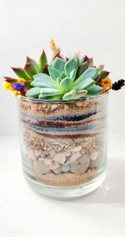 Кто не Любит Природы, тот не Любит и Человека, - тот Плохой Гражданин. 02