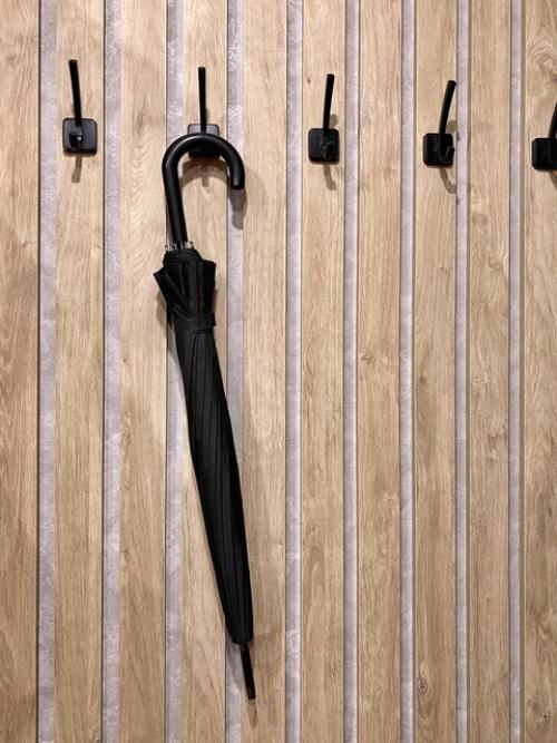 Слоник из Таиланда, кошечка из Египта. 09