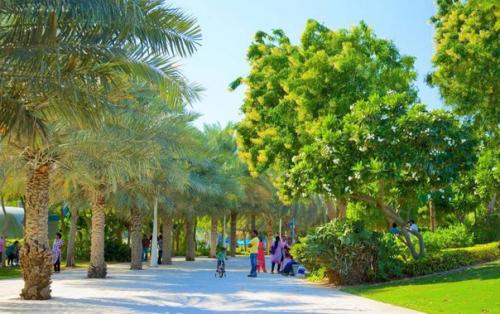 Что посетить в Дубае? 08