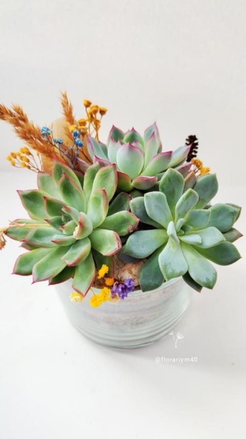 Кто не Любит Природы, тот не Любит и Человека, - тот Плохой Гражданин. 04