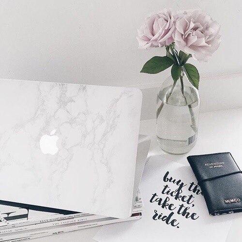 Топ - 5 самых популярных домашних растений?