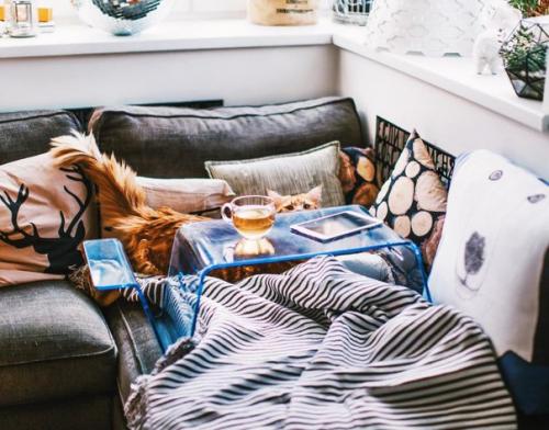 Новый тренд: невидимые интерьеры! 08