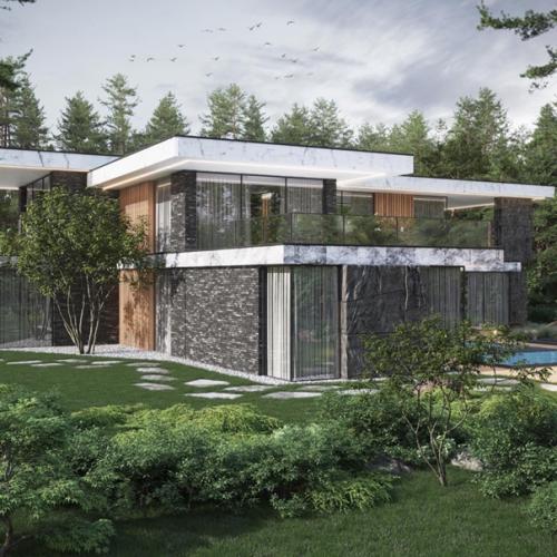 Вилла игуана. Студия: Evolux Design. 03