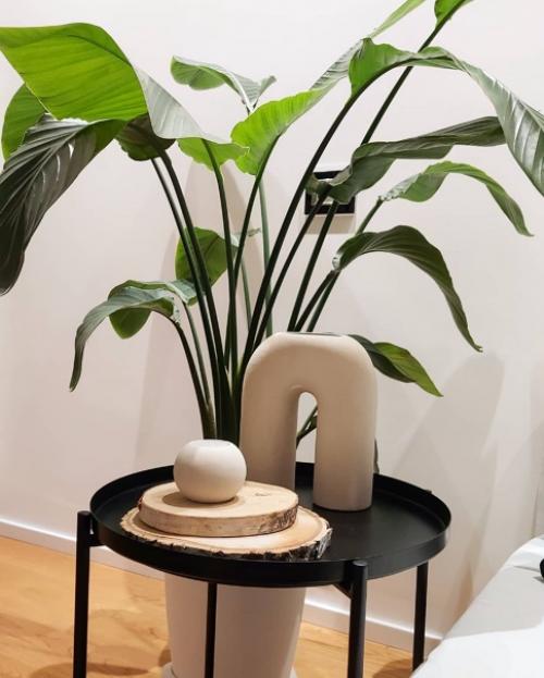 Белый стены, белая и чёрная мебель, белые кухонные шкафы - стильный и универсальный выбор для небольших квартир и домов. 03