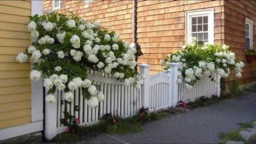 Мы делаем декоративный забор своими руками. 05