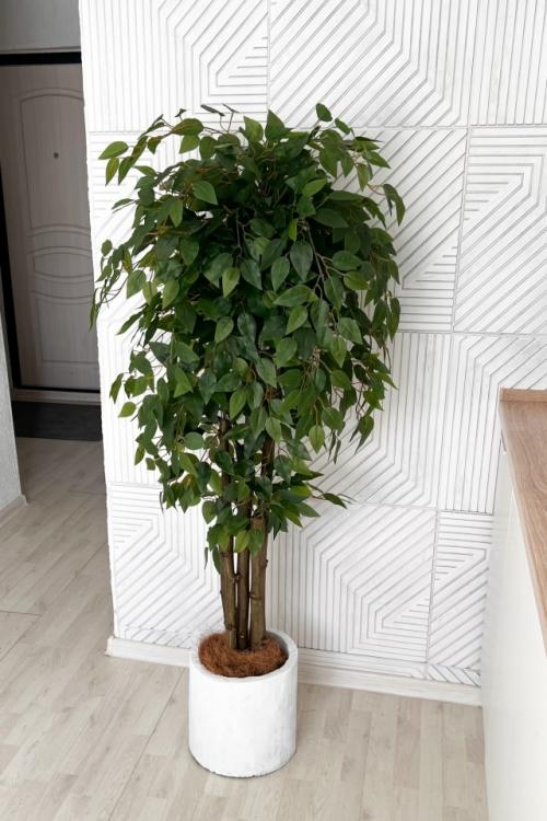 Реалистичный фикус в наличии. 

