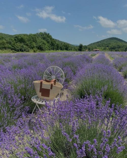 Мои рекомендации по анапе перед предстоящим сезоном. 03