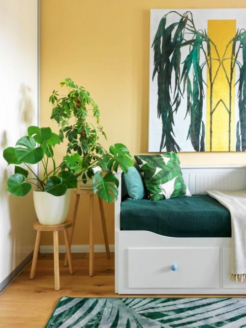 Правильный выбор растения под интерьер помещения. 02