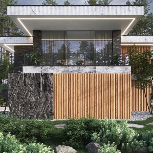 Вилла игуана. Студия: Evolux Design. 06