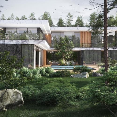 Вилла игуана. Студия: Evolux Design. 02