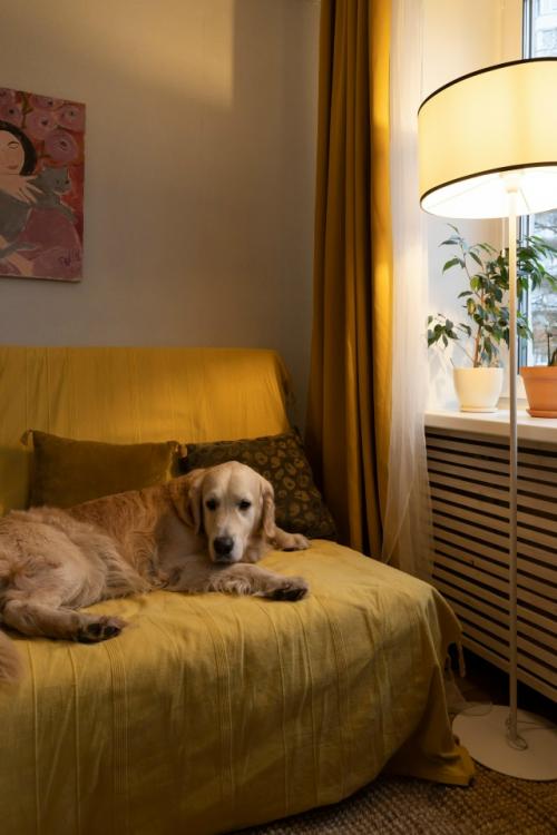 Квартира в наследство от бабушки: недорогая и уютная переделка интерьера 30 кв.  