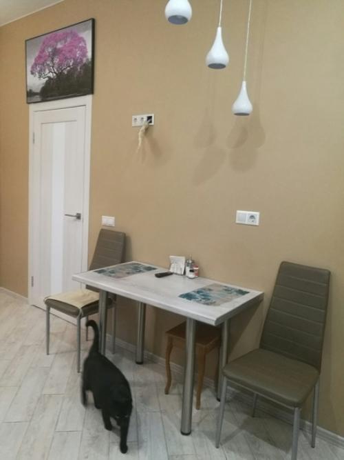 Кухня в загородном доме, картина над дверью закрывает выемку. 03