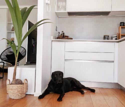 Белый стены, белая и чёрная мебель, белые кухонные шкафы - стильный и универсальный выбор для небольших квартир и домов. 05