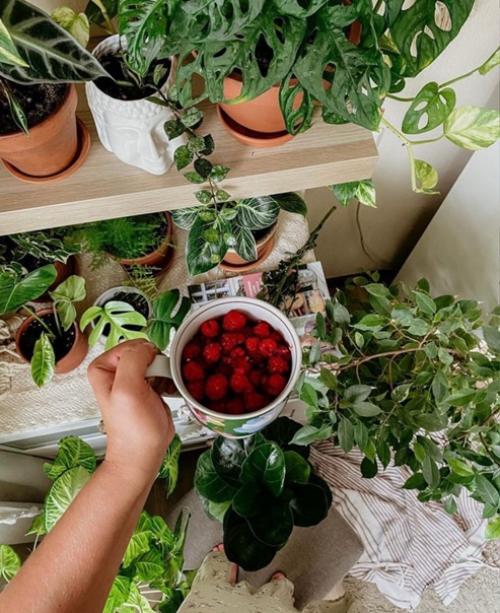 Здравствуйте!  Делюсь кусочком своего уютного деревенского скандибохо. 05