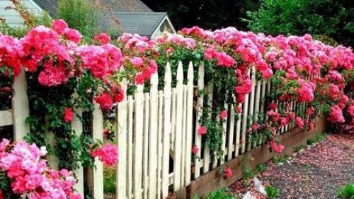 Мы делаем декоративный забор своими руками. 06