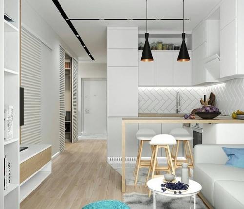 Кухня - гостиная, 12 кв. 02