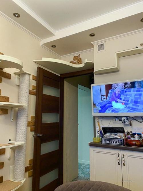 У дизайнеров была задача была вписать в интерьер комплекс Дворик на Кухне для двух котиков, в преддверии приезда в дом щенка. 05