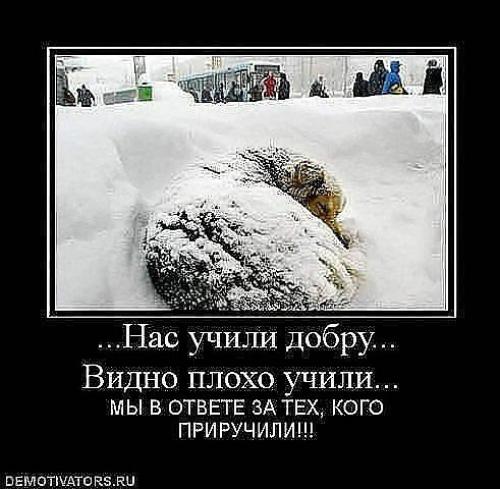 Для тех, кто хочет взять животное в дом. 
