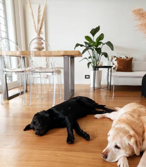 Белый стены, белая и чёрная мебель, белые кухонные шкафы - стильный и универсальный выбор для небольших квартир и домов. 08