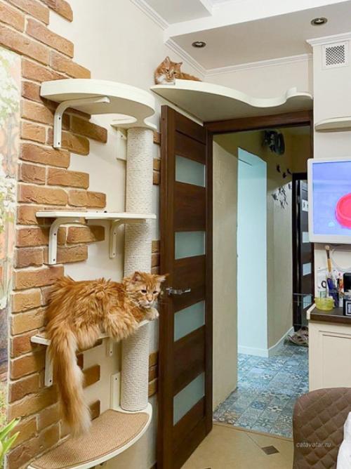 У дизайнеров была задача была вписать в интерьер комплекс Дворик на Кухне для двух котиков, в преддверии приезда в дом щенка. 04