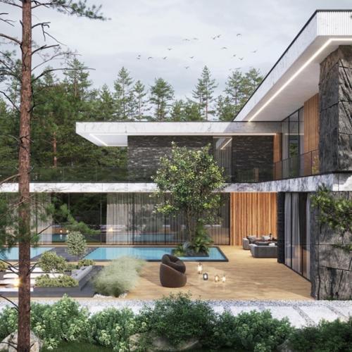 Вилла игуана. Студия: Evolux Design. 04