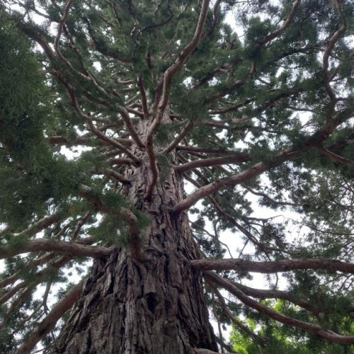 На днях ребята массандровский дворец посетили. 07