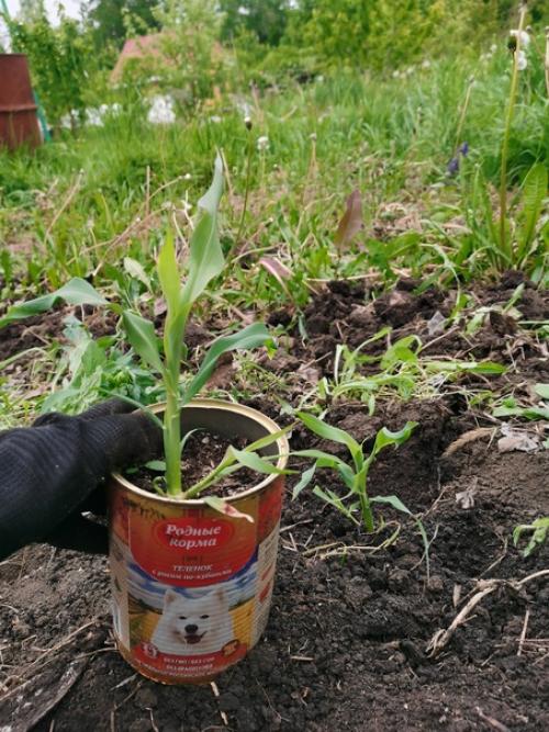Я воспользовалась подсказкой судьбы и поехала. 01