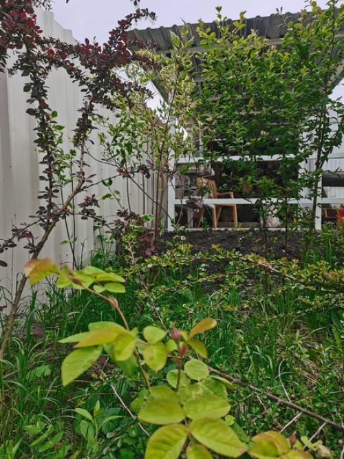 Я воспользовалась подсказкой судьбы и поехала. 03