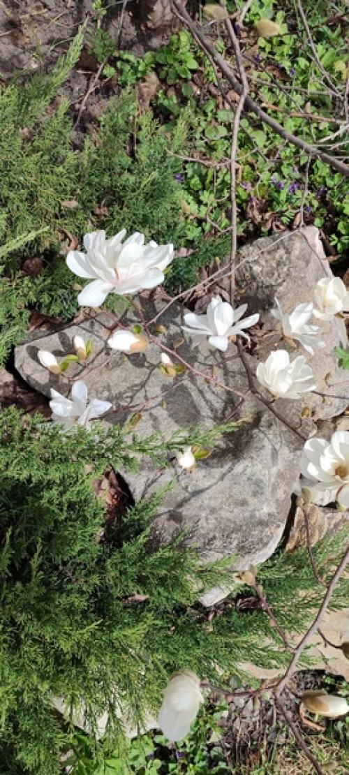 Итак, итоги весны в картинках и немного в тексте. 02