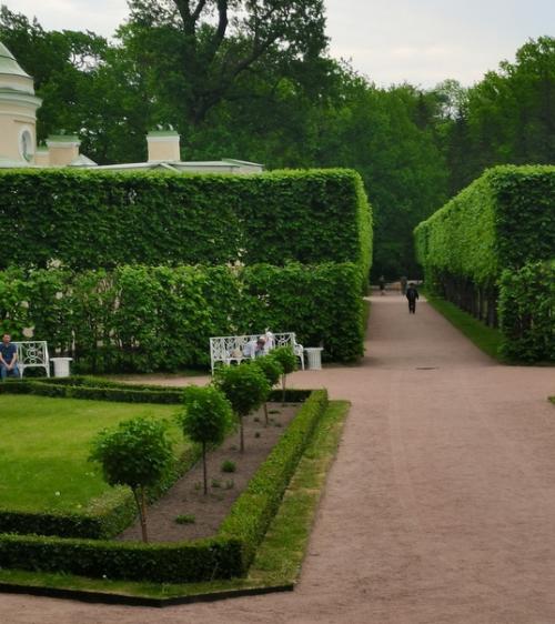 Вчера по плану был Пушкин. 02