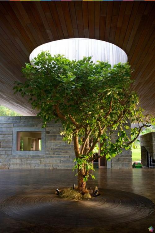 Дом на краю обрыва в Африке. 02