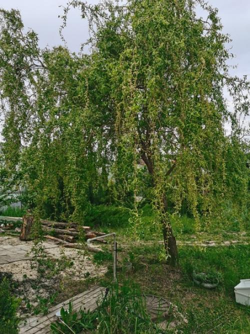 Я воспользовалась подсказкой судьбы и поехала. 04