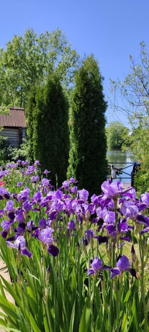 Итак, итоги весны в картинках и немного в тексте. 05