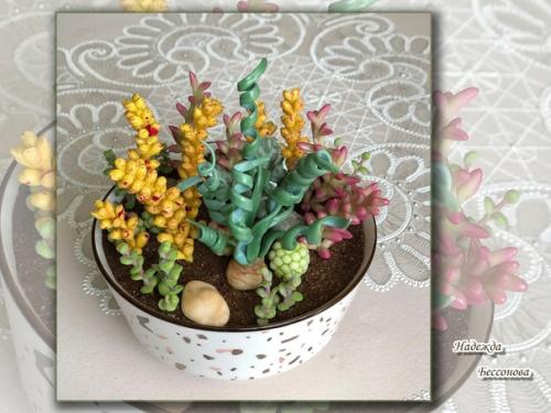 Онлайн курс по лепке суккулентов Мир в Глиняной Чашке с Ольгой лапуновой завершается. 03