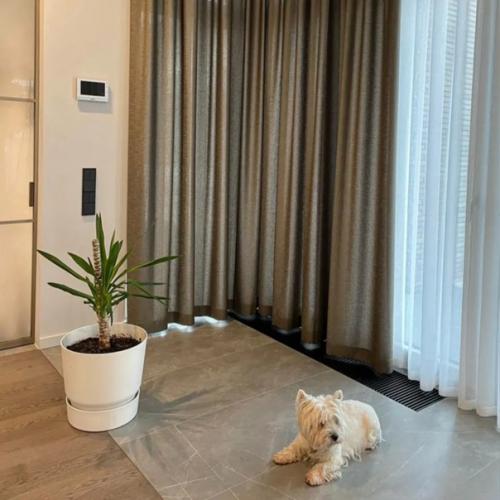 Полупрозрачная портьера в загородном доме заказчика. 06