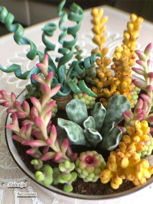 Онлайн курс по лепке суккулентов Мир в Глиняной Чашке с Ольгой лапуновой завершается. 09